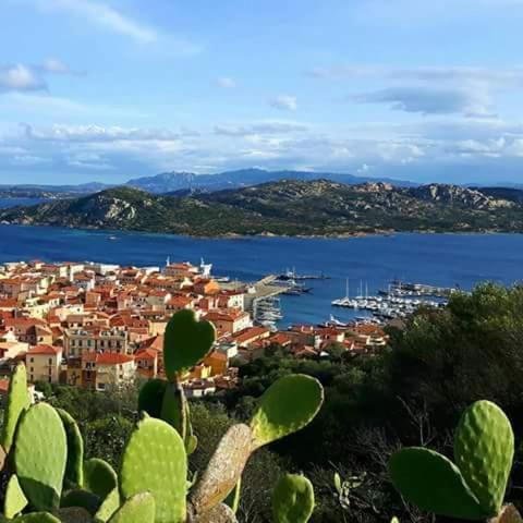 Sweet Home La Maddalena La Maddalena  Esterno foto